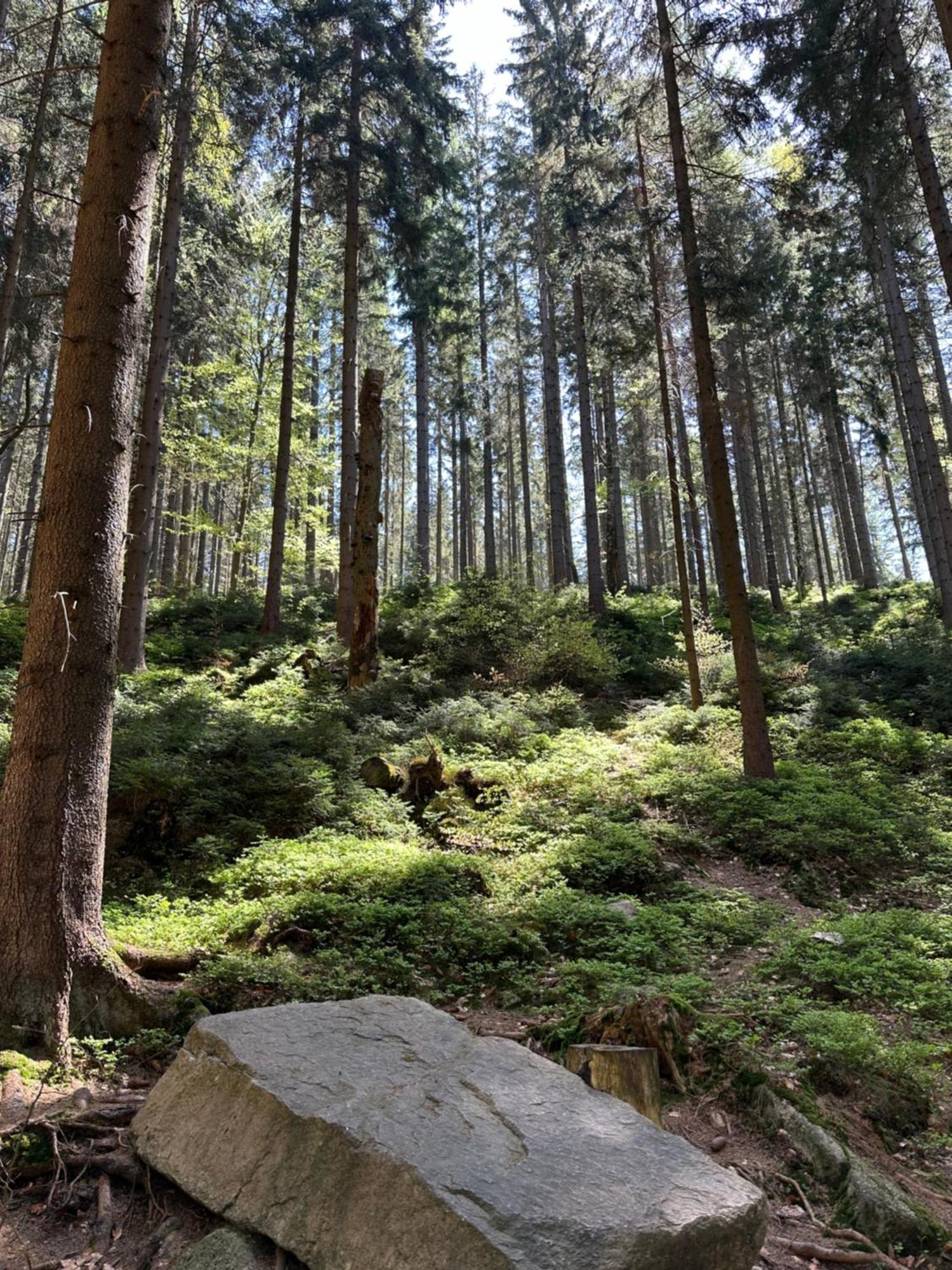 Resident Katrin Wellness Grotta Free *